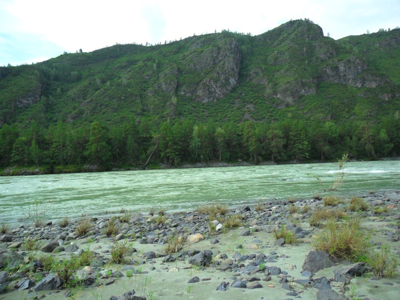 Александр Мосеенков @@@@@ | Новосибирск