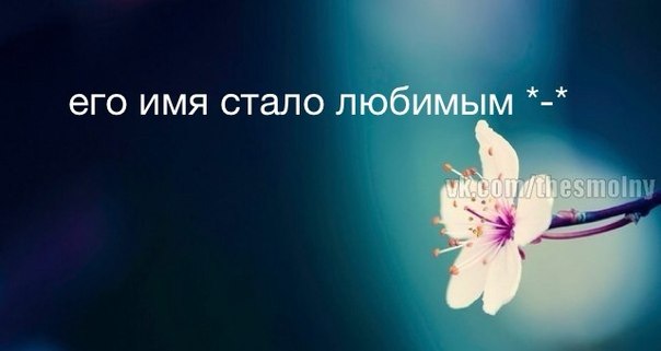 Ирина Горохова | Яя