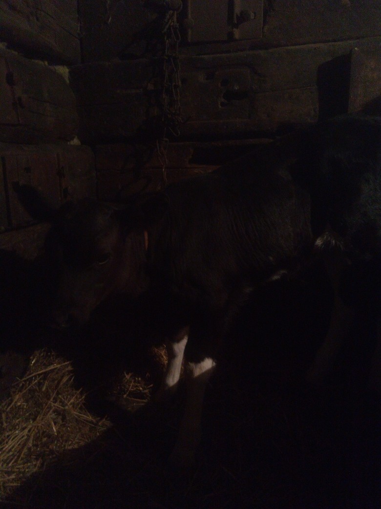 Павел Агеев | Ефремов