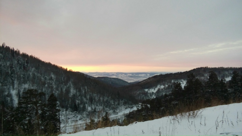 Анастасия Зверева | Новосибирск