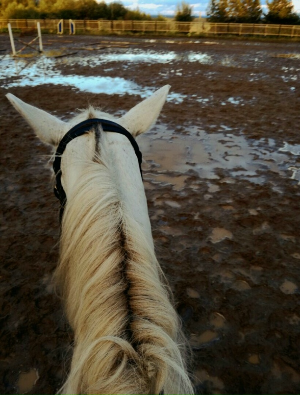 Ольга Коноплева | Сыктывкар