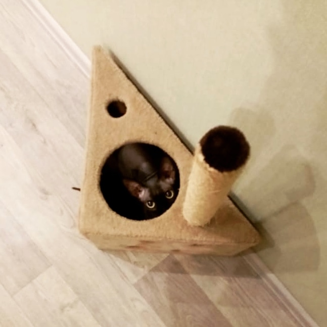 Настя Крутова | Рязань