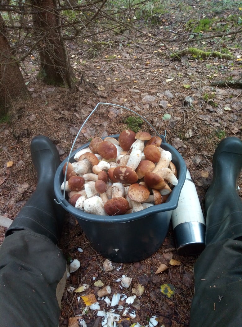 Олег Малышев | Великий Новгород