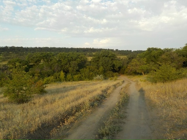 Летняя прогулка. Горная поляна, ЖК Санаторный.: djartik - ЖЖ