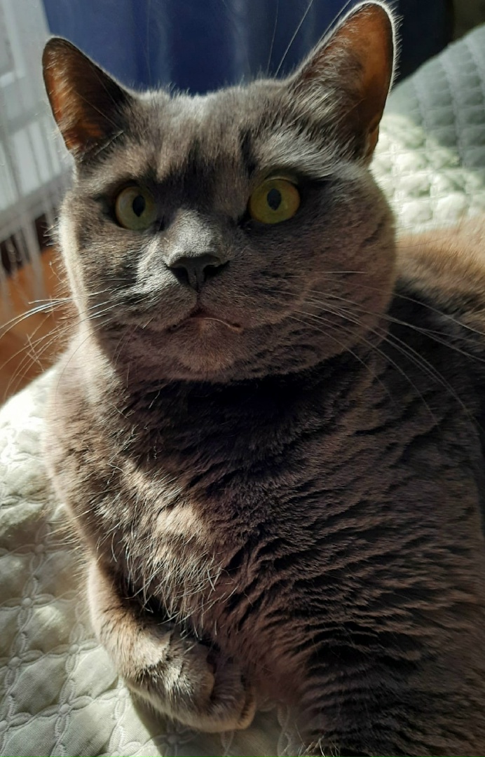 Ольга Шершнёва | Липецк