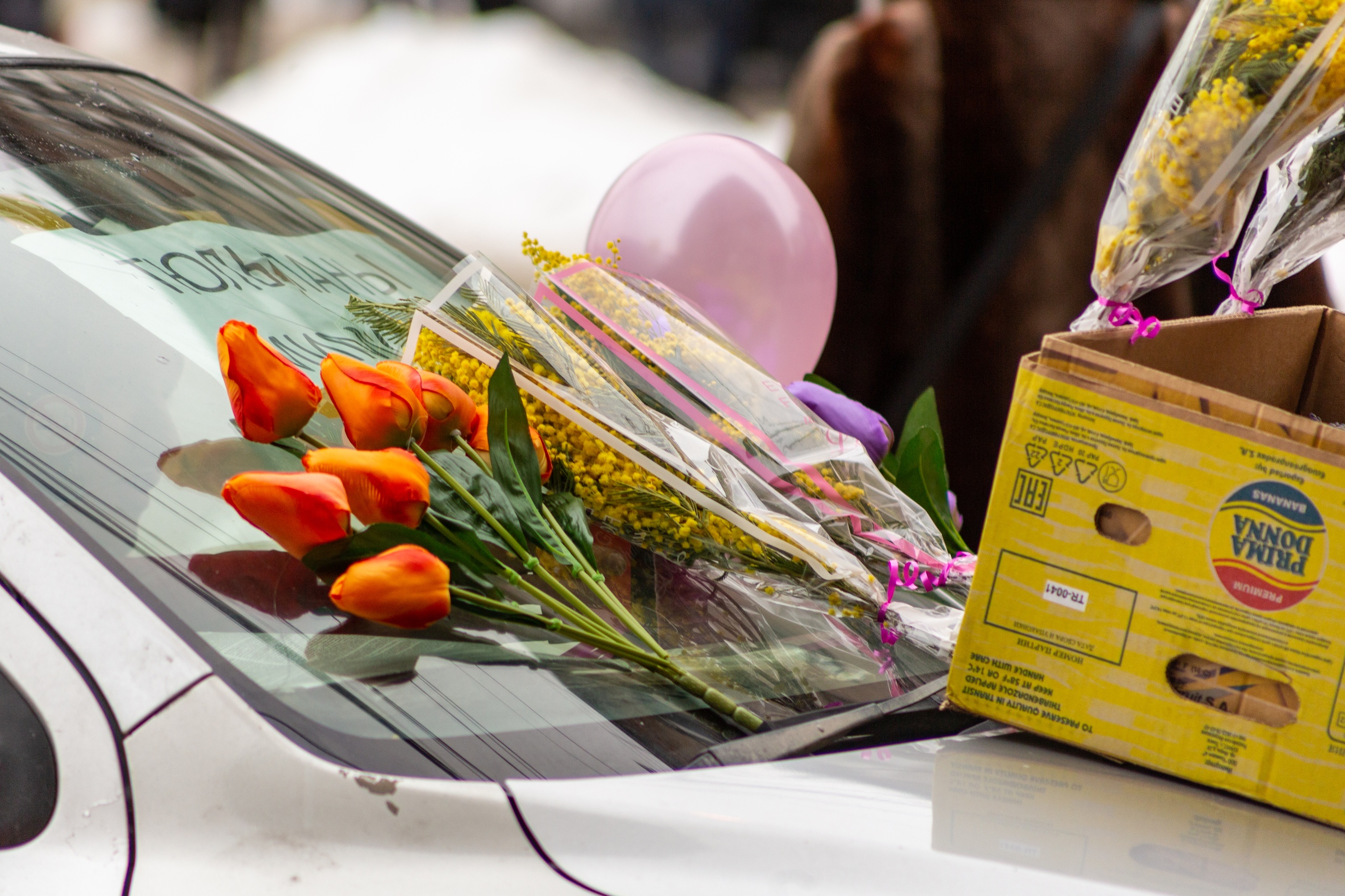 Фото Букет из багажника: в Новосибирске начали продавать тюльпаны к 8 Марта 15 - Сиб.ФМ Фото Букет из багажника: в Новосибирске начали продавать тюльпаны к 8 Марта 15