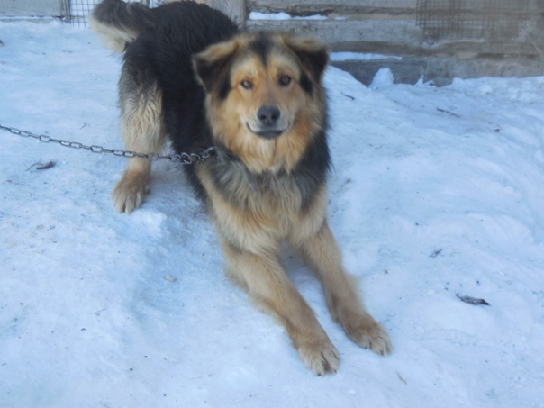 Александр Нефедов | Суходол