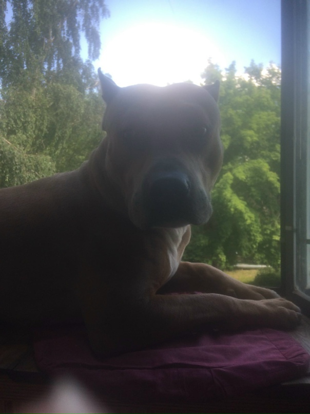 Анна Питерова | Челябинск