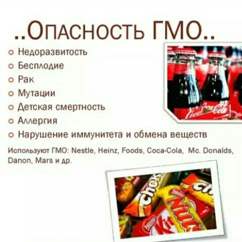 Генномодифицированные продукты за и против проект