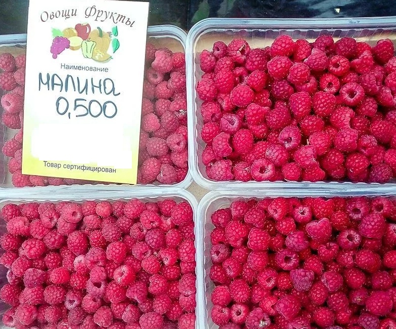 Малина москва Малина москва