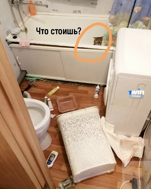 А вы смогли понять?