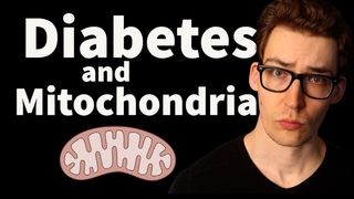 Diabetes & Mitochondria: How Nutrition Connects the Two. Study 32