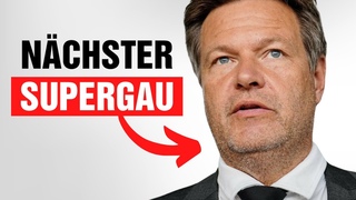 Wahnsinn! Habeck rutscht die Wahrheit raus