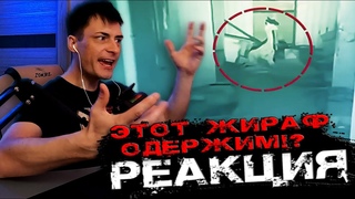 14 видео от очевидцев с призраками  Реакция на СТРАШНЫЕ видео