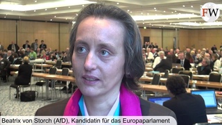 Beatrix von Storch, Europawahl-Kandidatin der Alternative für Deutschland