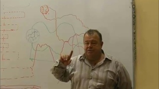 Как ориентируется женщина на Отца, Секс-партнера и свой Дух!