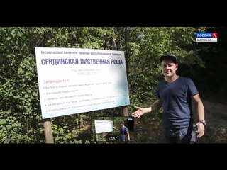 Пешком по республике – Вековые лиственницы (8 серия)