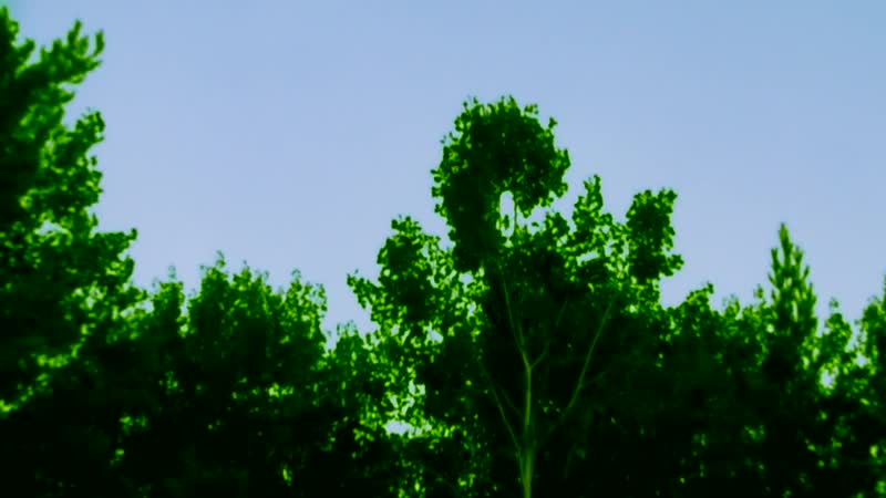 July 28 2020 4DS