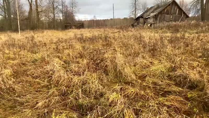 Россияне боятся