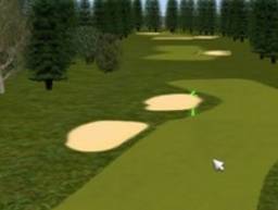 Spooneys Golf Green 4
