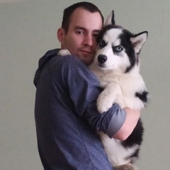 Анатолий Коршаков