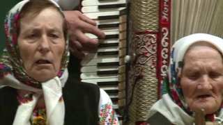 Виступ на концерті. Біла береза. Вечорниці