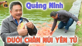 n Ko CU   Chn Ni YN T, QUNG NINH - Phn 1 | m Thc & i sng vi MC Vit Tho | CBL 1795