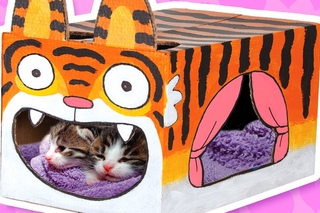 Cardboard Tiger Cat House - Crafts Ideas With Boxes | DIY on BoxYourself