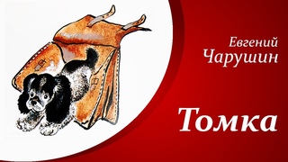 Рассказы о животных для детей  |  Е.И. Чарушин - Томка