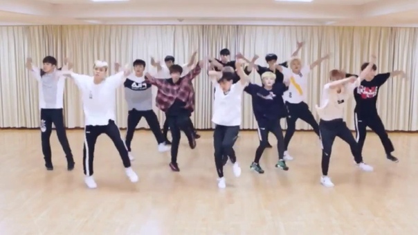SEVENTEEN Dont Wanna Cry mirrored Dance