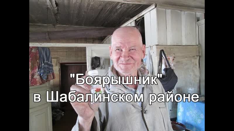 Боярышник в Шабалинском
